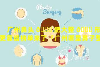 广州鼻头 🐅 肥大整 🐞 形谁更靠谱榜单来了「广州哪里鼻子整形最好的医院」